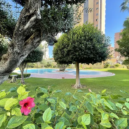 Torpa Levante Benidorm